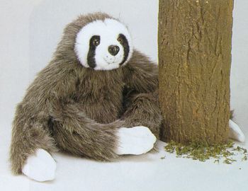 Stuffed Sloth