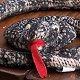 Stuffed Rattlesnake