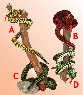 Fiesta Stuffed Plush Snakes