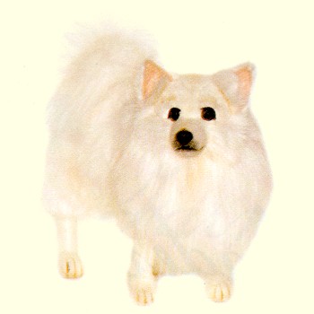 Hansa Stuffed Plush German Spitz