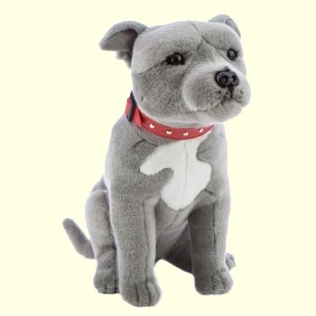 Bocchetta Storm Gray Sitting Staffordshire Terrier