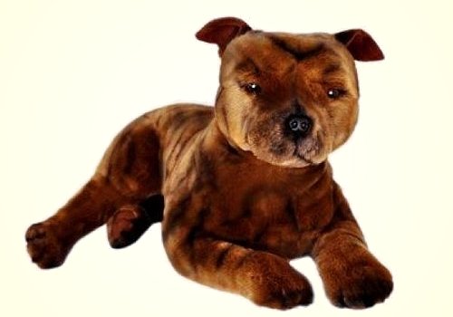 Bocchetta Plush Staffordshire Terrier