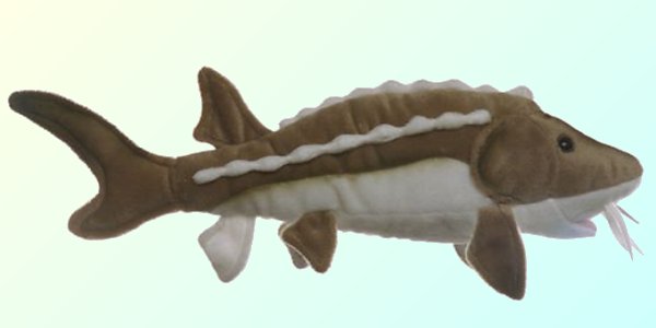 Cabin Critters Stuffed Plush Sturgeon