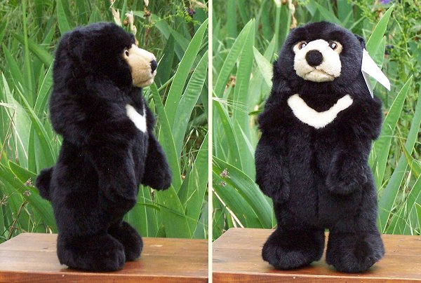 Leosco SOS Stuffed Plush Sun Bear