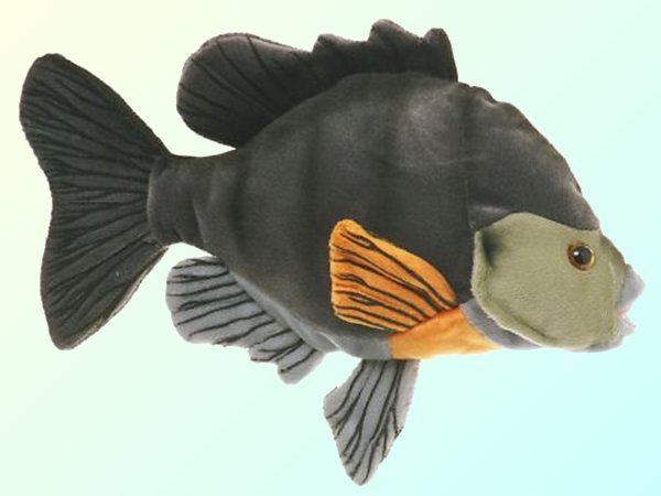 Cabin Critters Stuffed Plush Sunfish