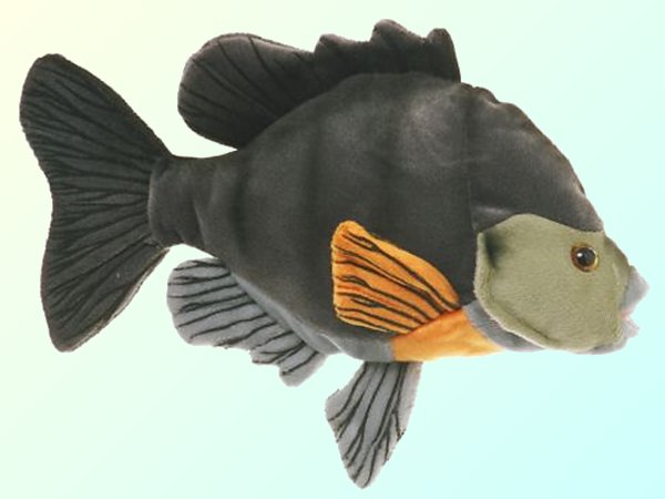 ocean sunfish plush