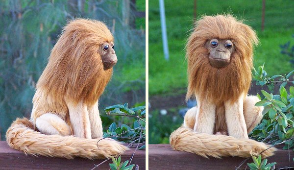 stuffed marmoset monkey