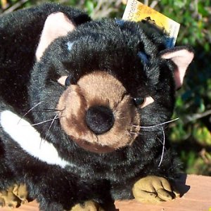 Bocchetta Rupert Tasmanian Devil