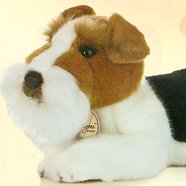 Aurora Miyoni Fox Terrier
