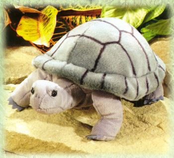 plush tortoise