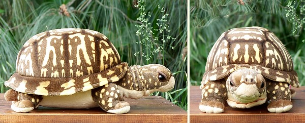 box turtle stuffed animal