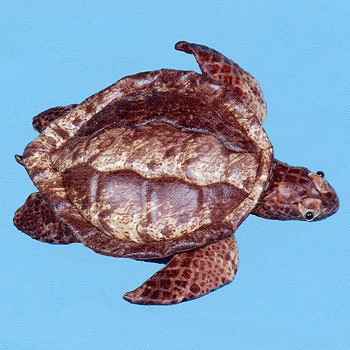 turtle softtoy