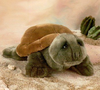 turtle back zoo stuffed animals