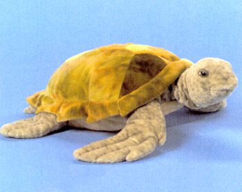 Stuffed Sea Turtle
