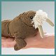 Stuffed Walrus