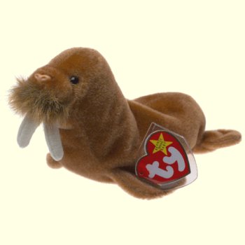 Ty Paul Walrus Beanie Baby