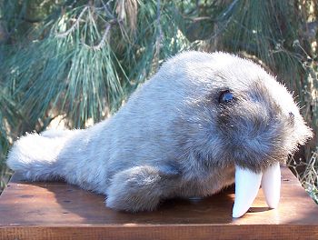 Walter Stuffed Plush Walrus