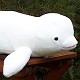 Wild Republic Beluga Whale