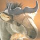 SOS 7 Inch Stuffed Wildebeest SOS 7 Inch Stuffed Wildebeest