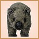 Stuffed Wombat