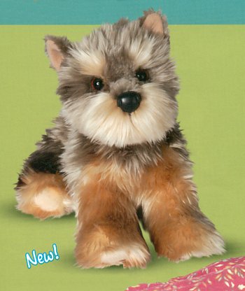 Douglas Classic Yorkshire Terrier Puppy