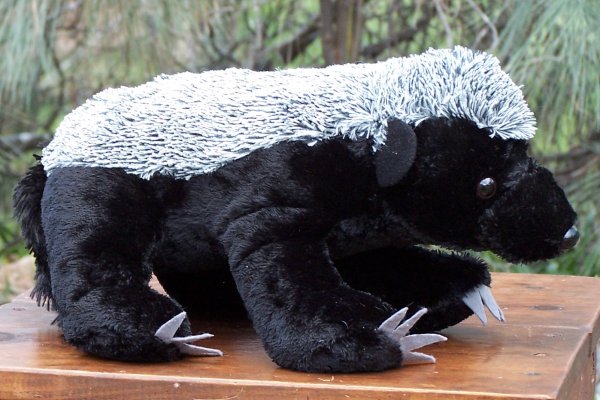 Plush Honey Badger Stuffed Animal