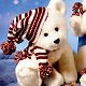 Russ plush Christmas bear