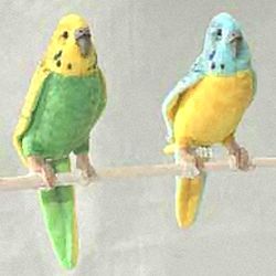 Stuffed Yellow Budgerigar
