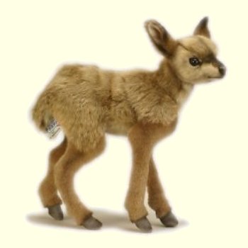 Stuffed Bushback Kid