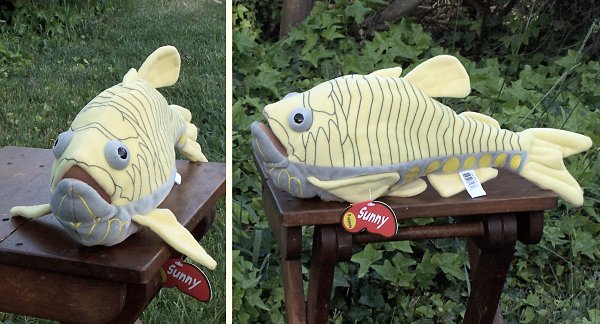 Stuffed Hatchet Fish