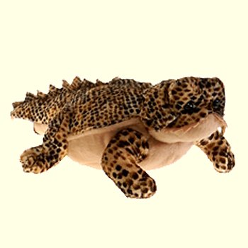 Plush Horned Toad Stuffed Animal