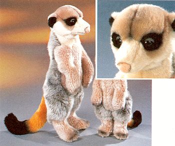 Stuffed Meerkat