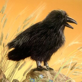 Folkmanis Stuffed Plush Raven Hand Puppet