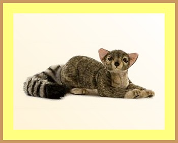 Stuffed Ringtailed Cat
