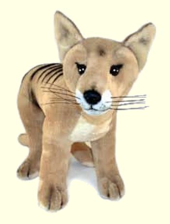 Stuffed Tasmanian Tiger