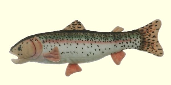 Stuffed Rainbow Trout