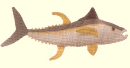 Stuffed Yellow Fin Tuna